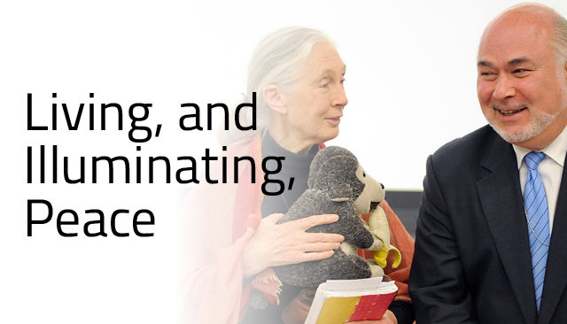 Living, and Illuminating, Peace: A Message from Global Security Institute’s President