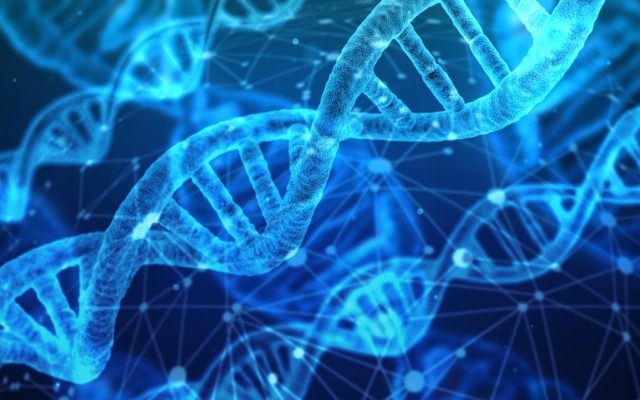 Used an at-home DNA kit? The privacy concerns you need to know