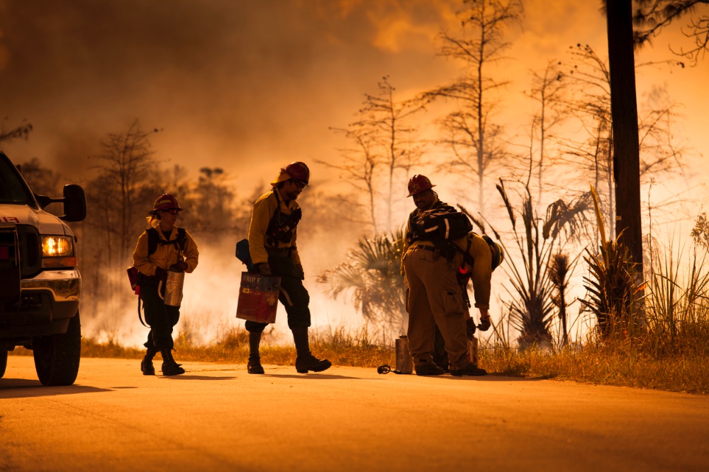 Fire department claims Verizon “throttled” internet service as it battled deadly wildfires